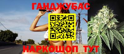 крисы Тула