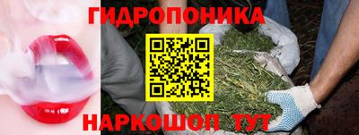 крисы Тула