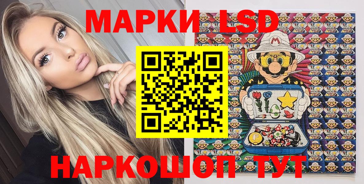 продажа наркотиков  Наркотические марки 1,5мг  Бердск  Вход с VPN  Наркотические марки 1,5мг  Наркотические марки 