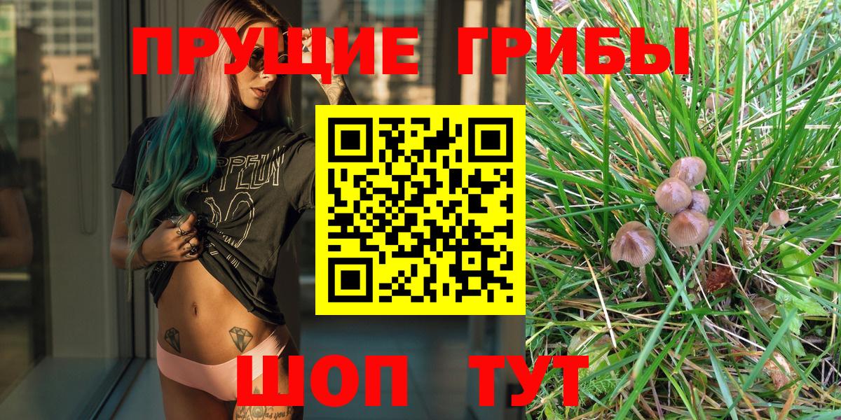 Бердск  Галлюциногенные грибы Magic Shrooms  Вход с VPN 